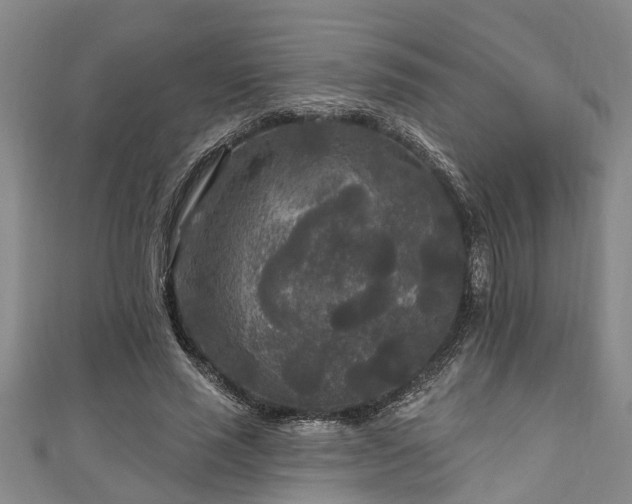 X0000111170637200907081215