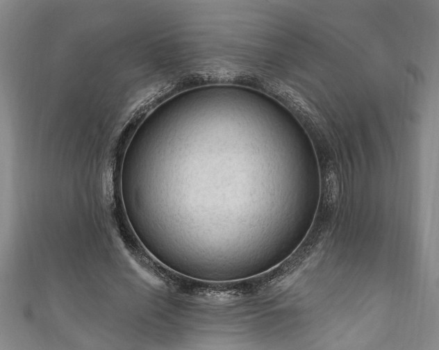 X0000111170638200907081215