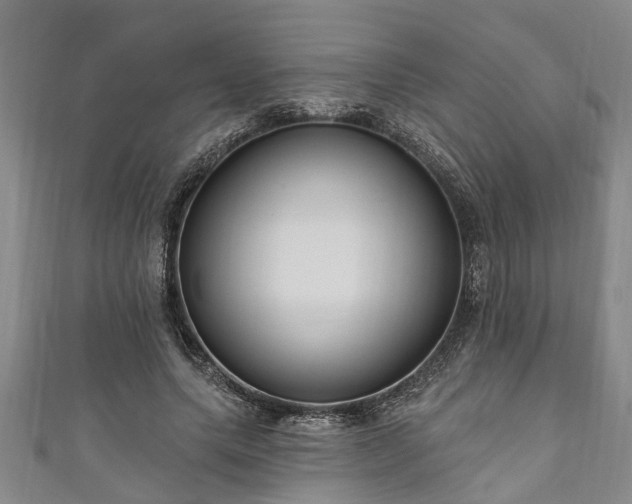 X0000111170639200907081215