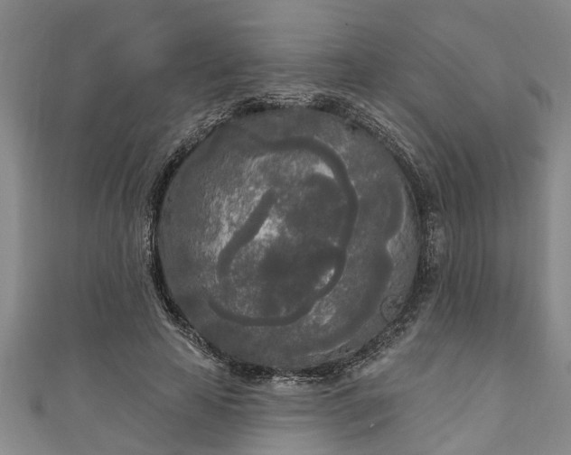 X0000111170641200907081215