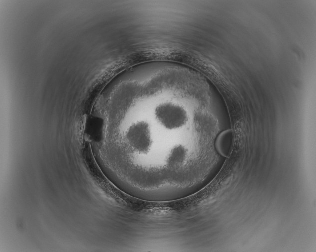 X0000111170642200907081215