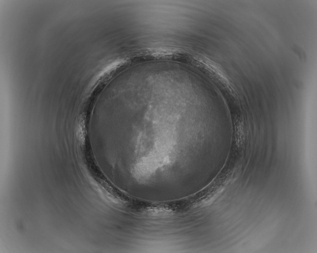 X0000111170644200907081215