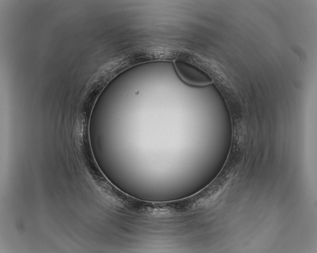 X0000111170645200907081215