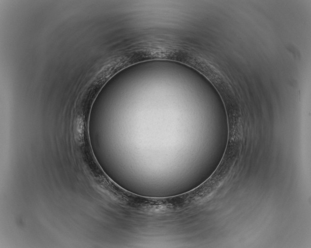 X0000111170646200907081215