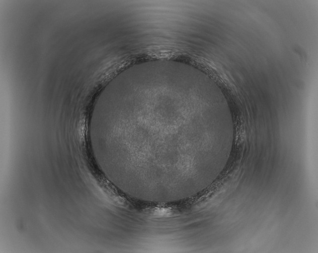 X0000111170647200907081215