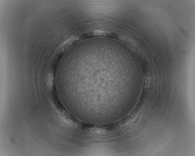 X0000111170648200907081215