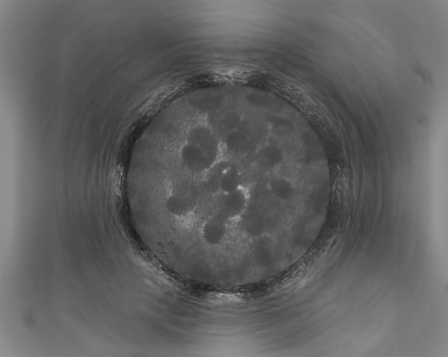 X0000111170649200907081215