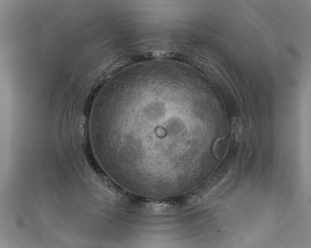 X0000111170650200907081215