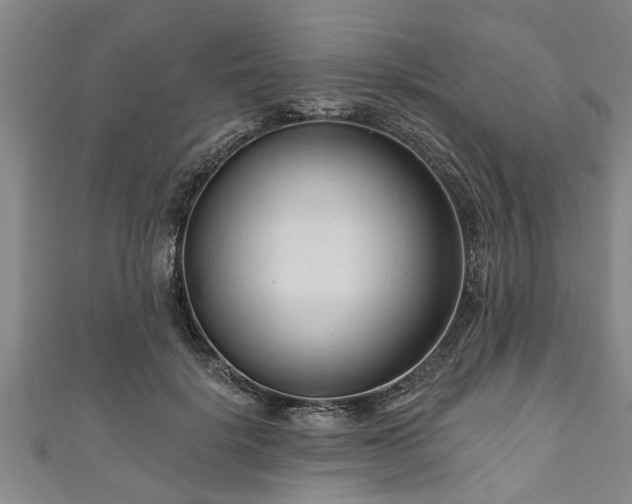 X0000111170652200907081215