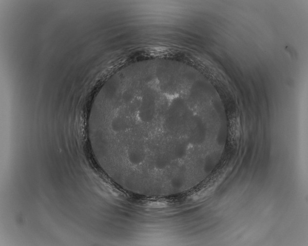 X0000111170653200907081215