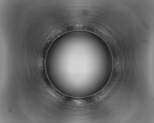 X0000111170654200907081215