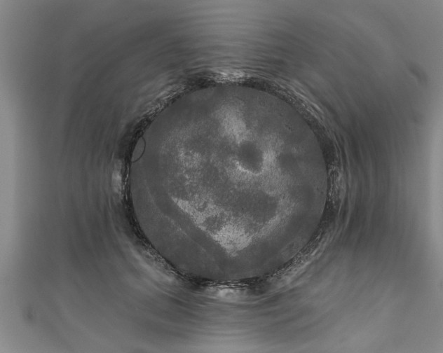 X0000111170655200907081215