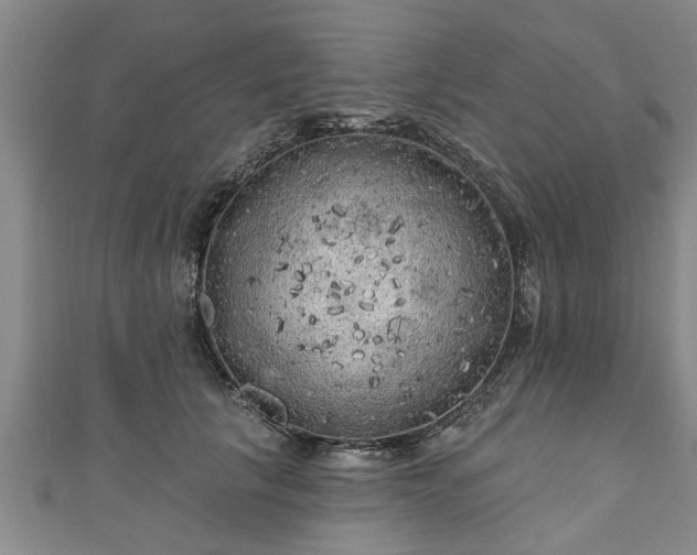 X0000111170657200907081215