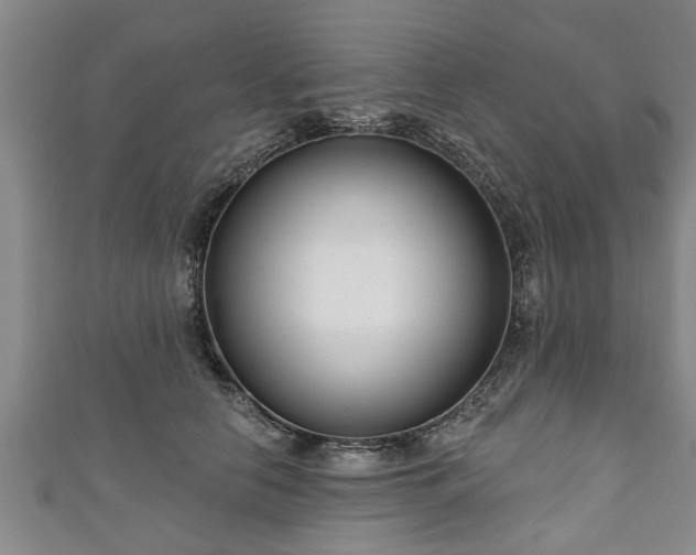 X0000111170658200907081215