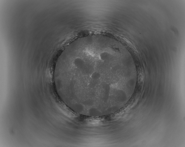 X0000111170661200907081215