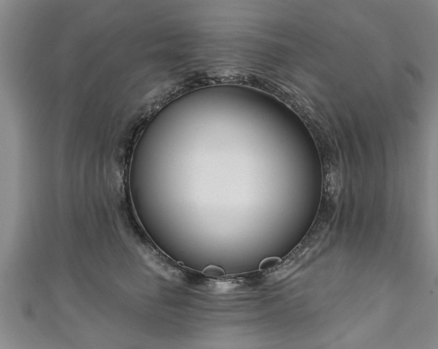 X0000111170662200907081216