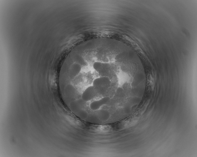 X0000111170663200907081216