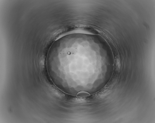 X0000111170668200907081216