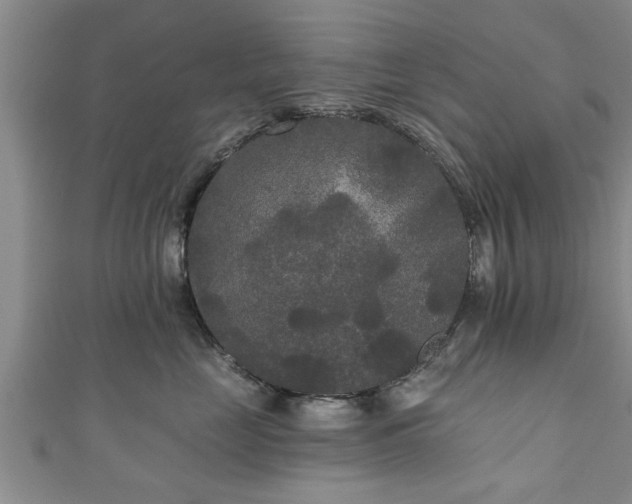 X0000111170669200907081216