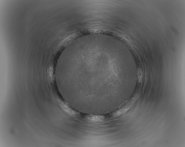 X0000111170670200907081216