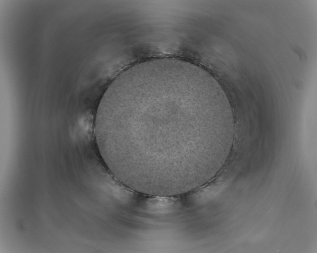 X0000111170672200907081216