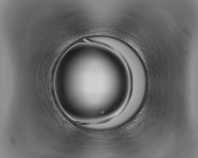 X0000111170673200907081215