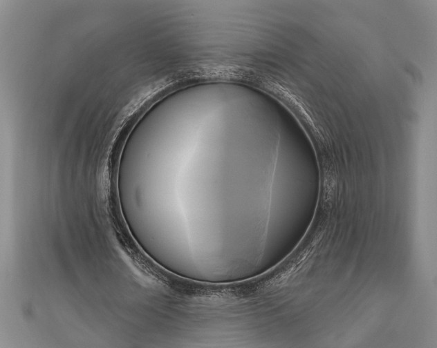 X0000111170674200907081215