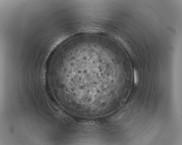 X0000111170675200907081215