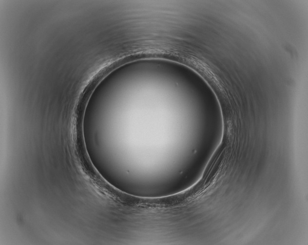 X0000111170676200907081215