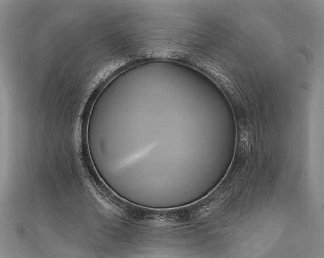 X0000111170678200907081215