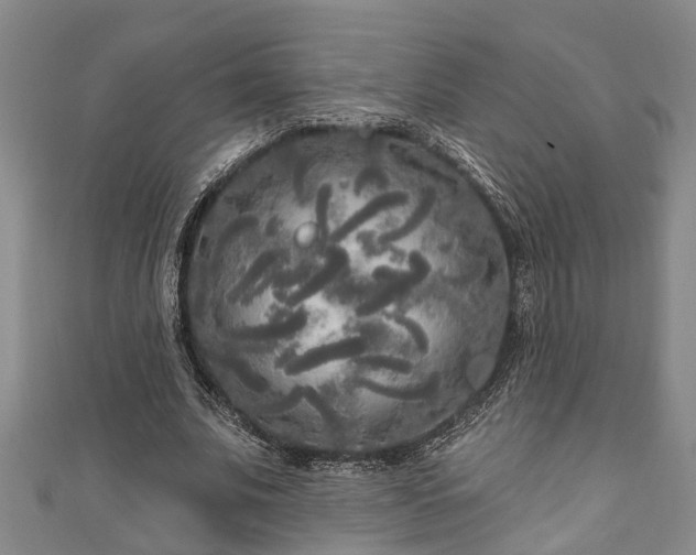 X0000111170679200907081215