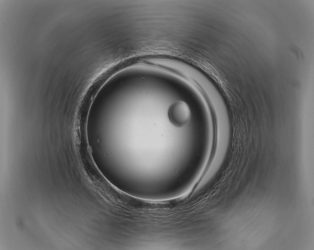 X0000111170680200907081215