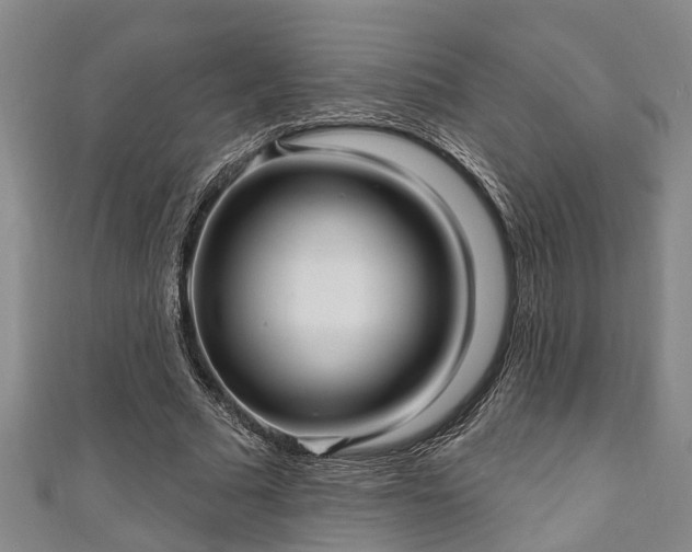 X0000111170681200907081215