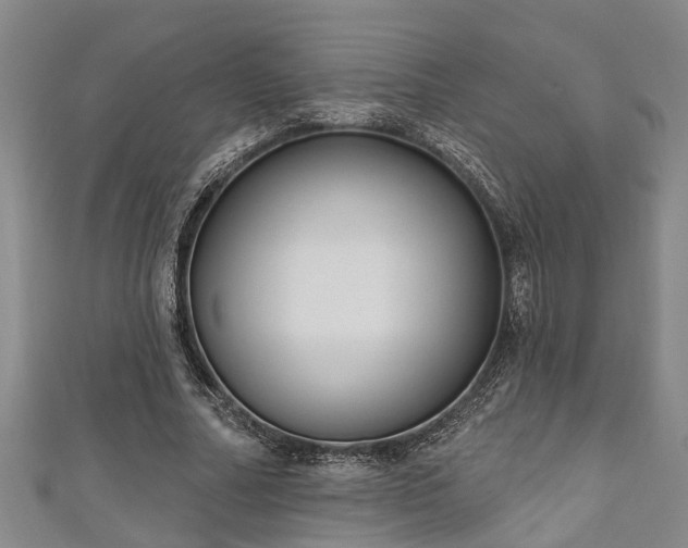 X0000111170682200907081215