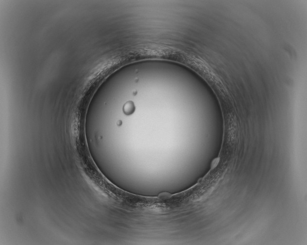 X0000111170683200907081215