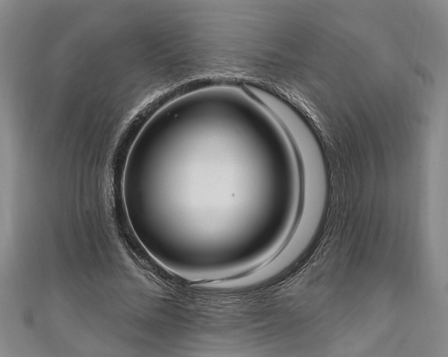 X0000111170684200907081215