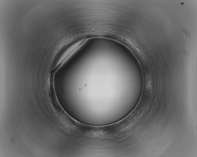 X0000111170685200907081215