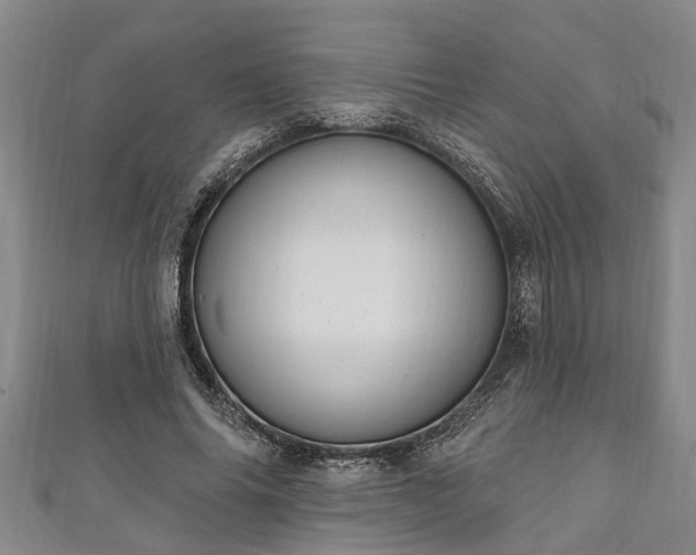 X0000111170686200907081215