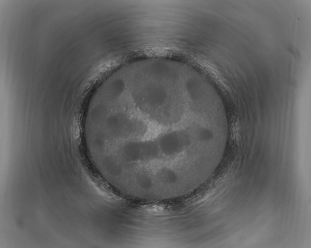 X0000111170687200907081215