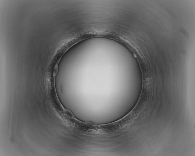 X0000111170688200907081215