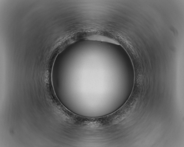 X0000111170689200907081215