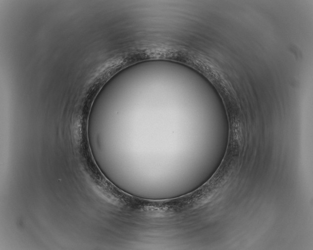 X0000111170690200907081215