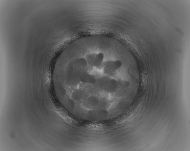 X0000111170691200907081215