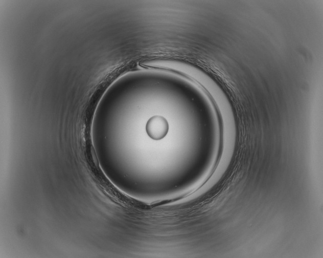 X0000111170692200907081215