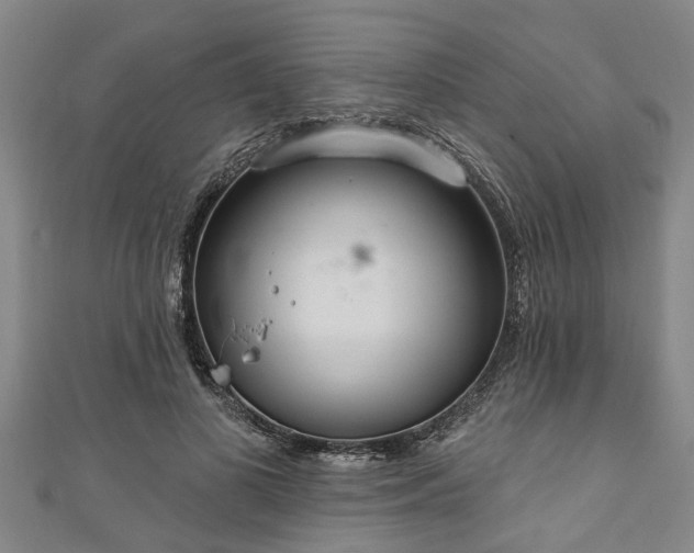 X0000111170693200907081215