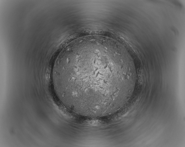 X0000111170695200907081215