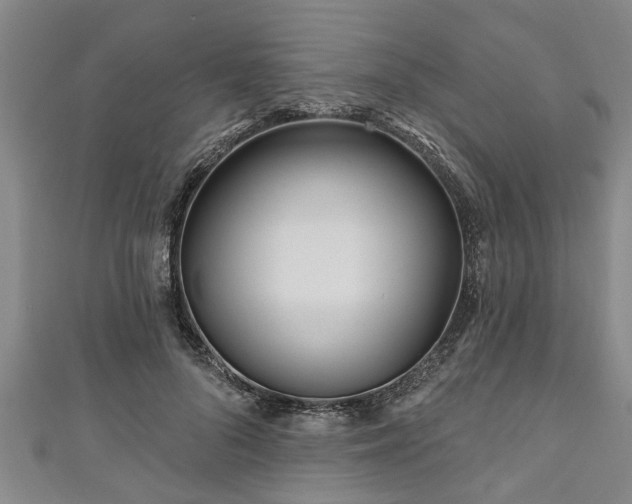 X0000111170696200907081215