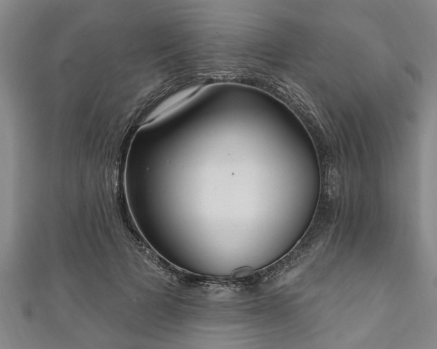 X0000111170697200907081215