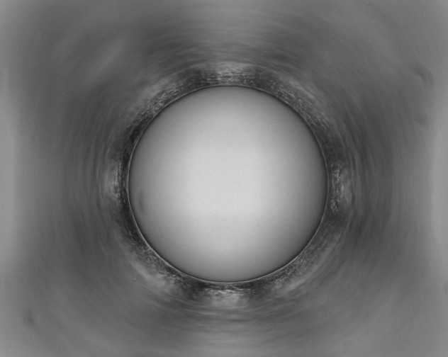 X0000111170698200907081215