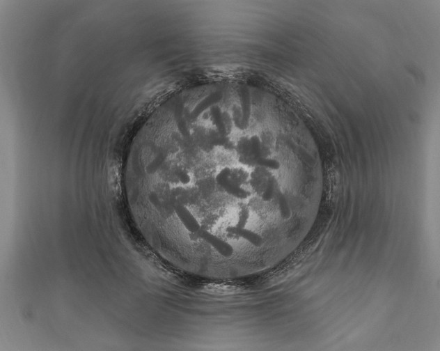 X0000111170699200907081215